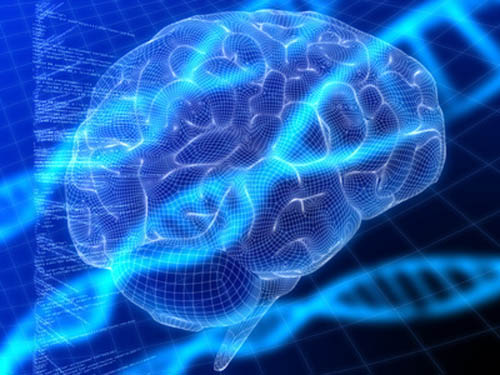 blue brain